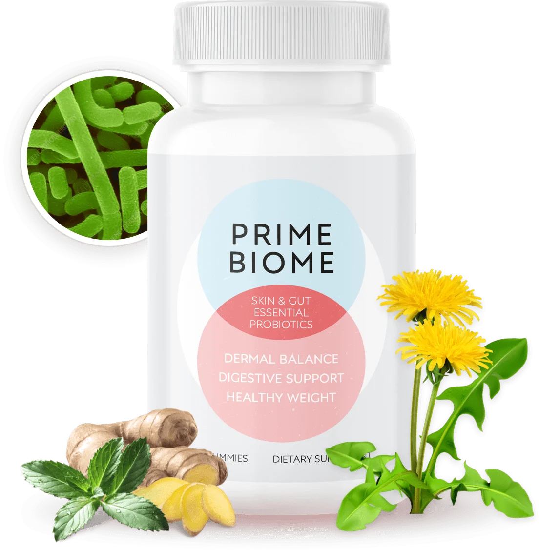 PrimeBiome Home Page